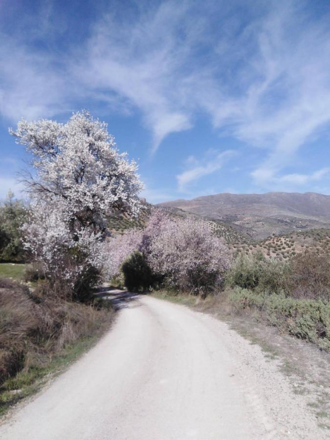 El Convento Vivienda Rural Jaen Andalucia Espana Carchelejo Bagian luar foto